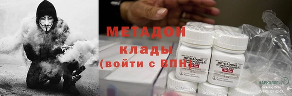прущие грибы Алексеевка