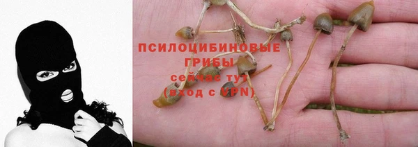 соль ск Алексин