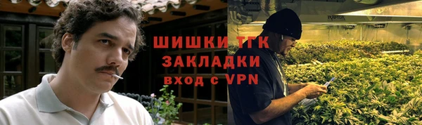 прущие грибы Алексеевка