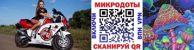 Галлюциногенные грибы мицелий Советский