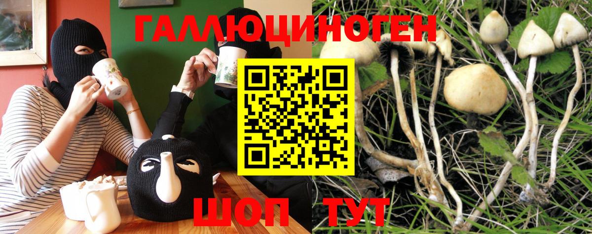купить наркоту  Псилоцибиновые грибы GOLDEN TEACHER  Вход с VPN  Галлюциногенные грибы Psilocybe  Советский 